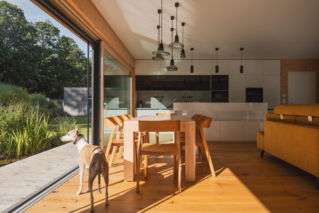 Jídelní stůl u prosklené stěny v obýváku moderní dřevostavby, pes hledící ven